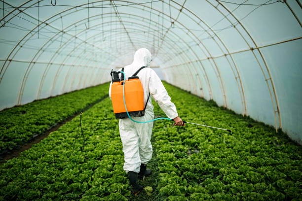 Best Commercial Pest Control Services  in Middle Island, NY