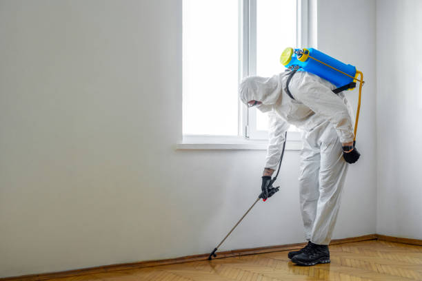 Pest Prevention Services in Middle Island, NY