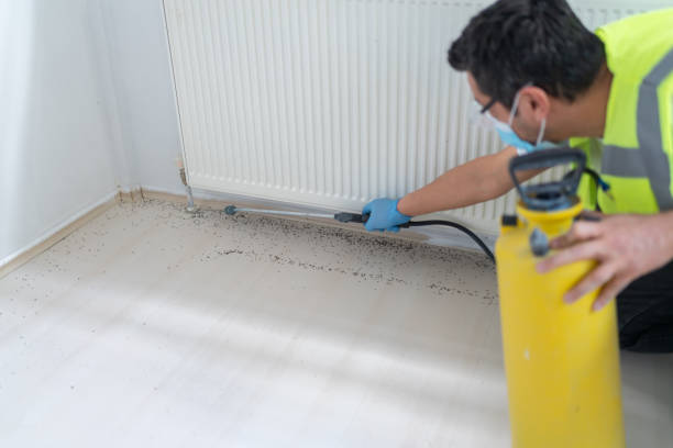 Best Pest Control for Homes  in Middle Island, NY